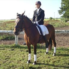 New Forest Dancing Queen