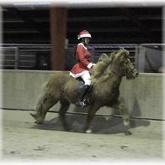 Islænder Freyja fra Akureyri