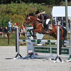 Irsk Sportspony Mill House girl