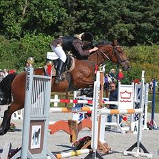 Irsk Sportspony Mill House girl