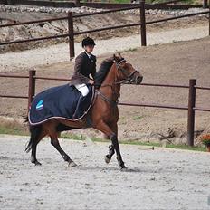 Irsk Sportspony Mill House girl