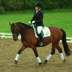 Anden særlig race Karlsbjerggaards Sakia