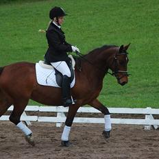 Anden særlig race Karlsbjerggaards Sakia