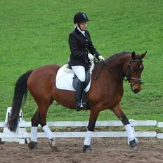 Anden særlig race Karlsbjerggaards Sakia