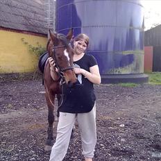 Dansk Varmblod Majbrit *Tøzen* 