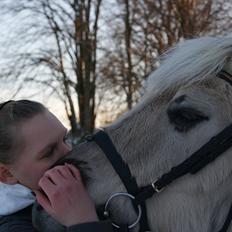 Anden særlig race Milo (Den fede)