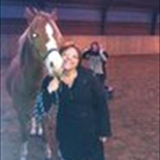 Hollandsk Sportspony Daylight!  <3 (Savnet&elsket)