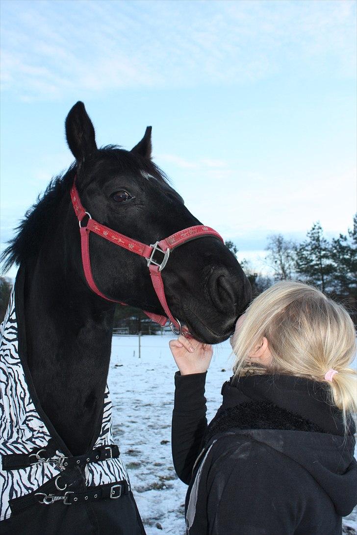 Anden særlig race Amigo - Mit eventyr - KYS (L) billede 4