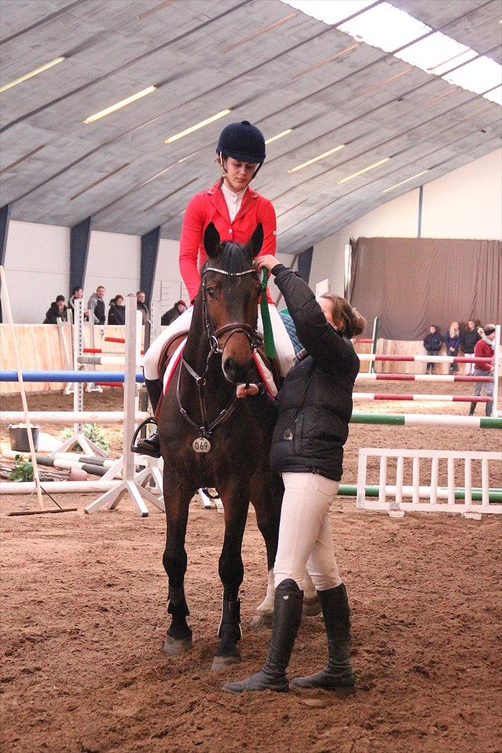 Holstener Capone billede 13