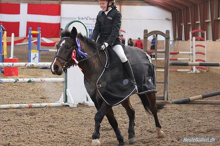 Anden særlig race Solbakkens Lukas - vandt regionsmesterskabet i brande <3 :-) billede 5