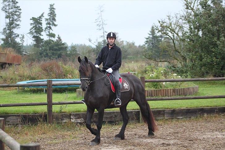 Frieser Njiskja*Frauke* - Thomas og damen igen C; billede 3