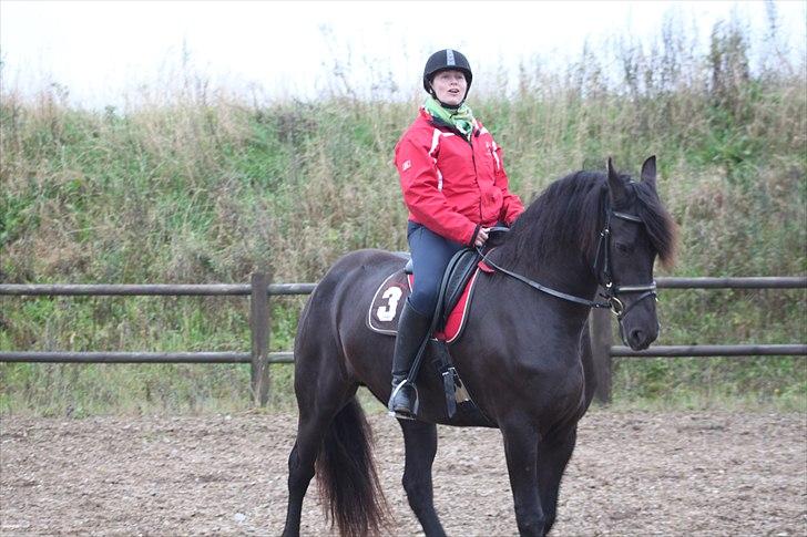 Frieser Njiskja*Frauke* - Mor og Damen :) billede 4