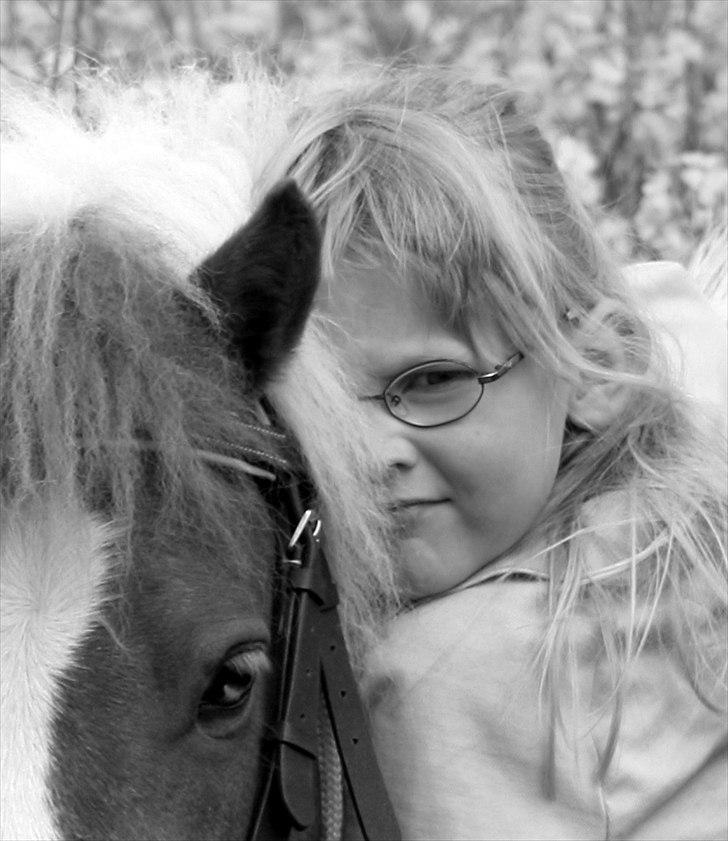 Anden særlig race Tulle (solgt) - En forårsdag i rapsen (foto: A-foto teamflyingadonis.dk) billede 13