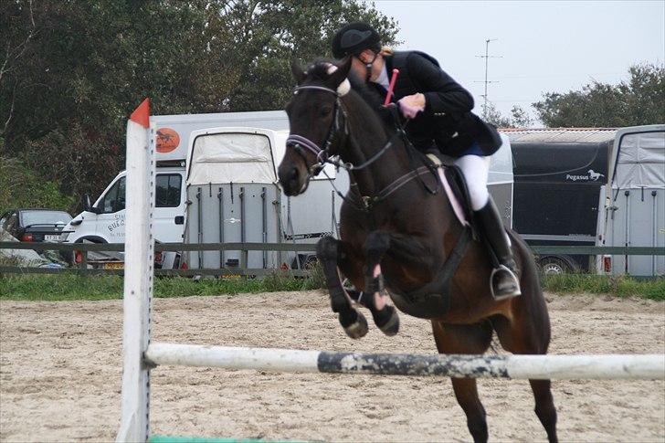 DSP Buegårds Saturn Solgt :'( - you are simply the best :/♥ billede 2