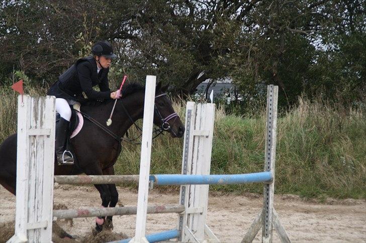 DSP Buegårds Saturn Solgt :'( - you are simply the best :/♥ billede 3