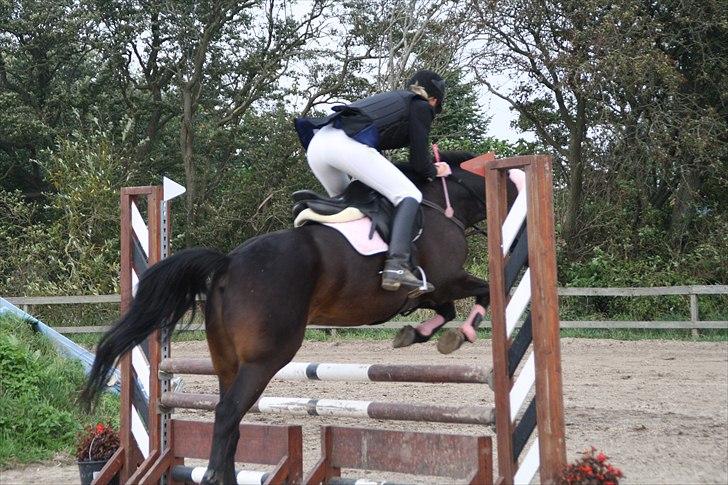 DSP Buegårds Saturn Solgt :'( - you are simply the best :/♥ billede 4