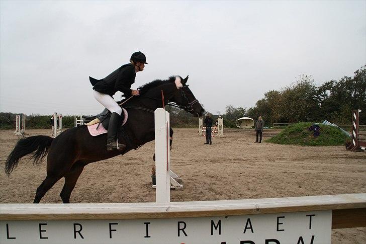 DSP Buegårds Saturn Solgt :'( - you are simply the best :/♥ billede 5