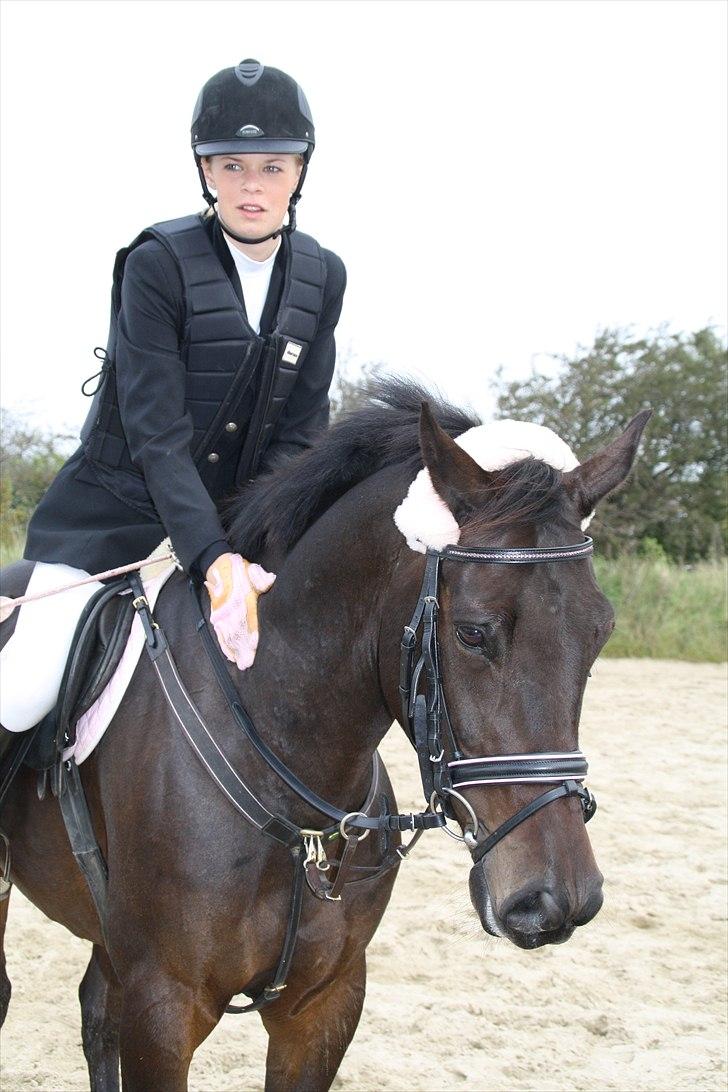 DSP Buegårds Saturn Solgt :'( - you are simply the best :/♥ billede 6