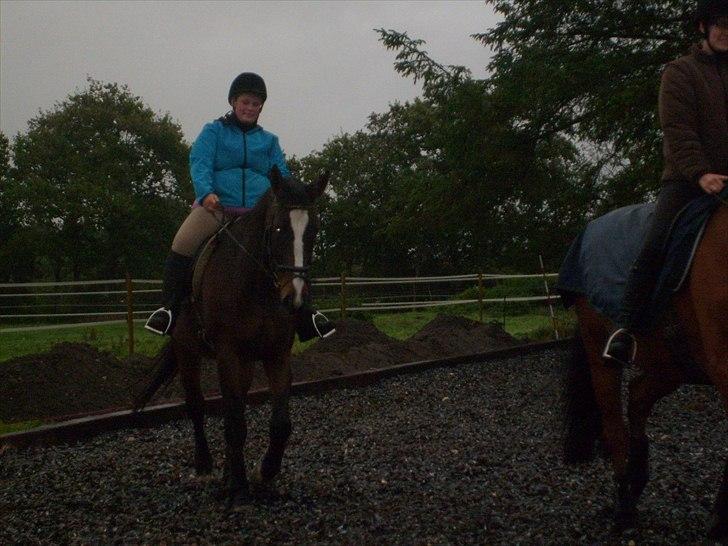 Dansk Varmblod Minelli - Minelli og jeg :) billede 2