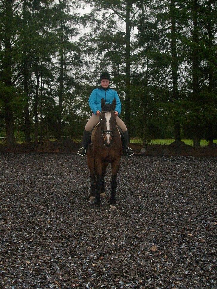 Dansk Varmblod Minelli - Minelli og jeg :) billede 3