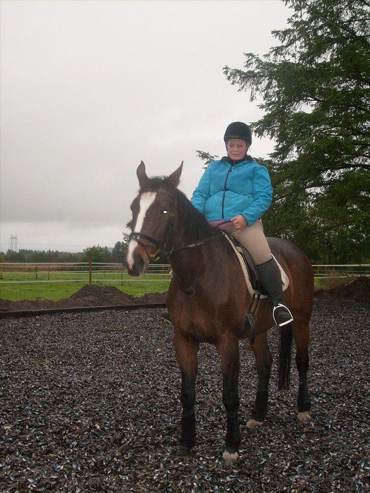 Dansk Varmblod Minelli - Minelli og jeg :) billede 4