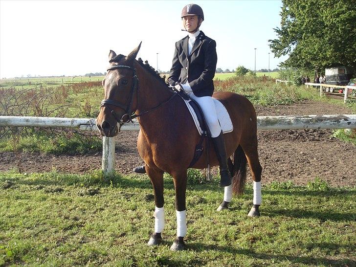 New Forest Dancing Queen billede 2