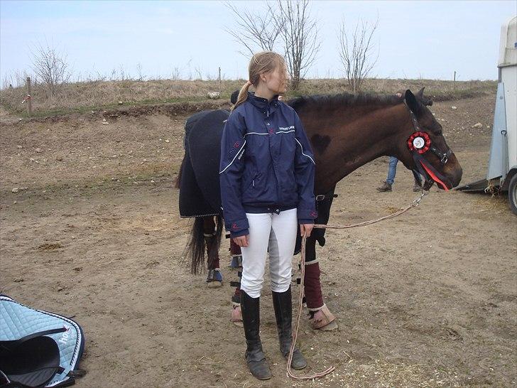 New Forest Dancing Queen billede 8