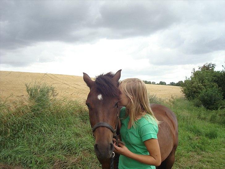 New Forest Dancing Queen billede 15