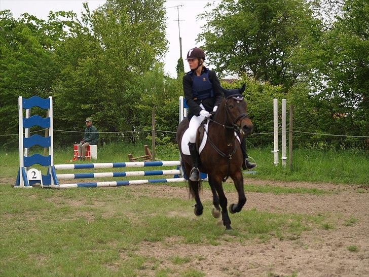 New Forest Dancing Queen billede 19