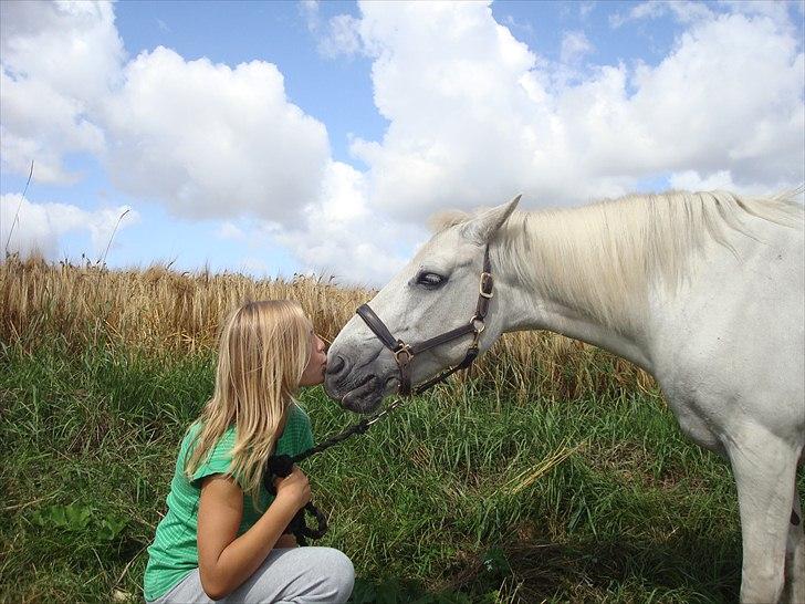 Connemara SHADOW billede 15