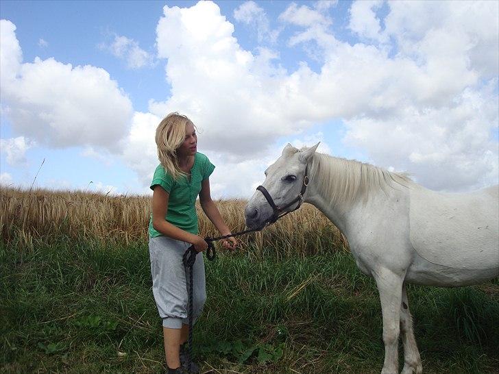 Connemara SHADOW billede 17