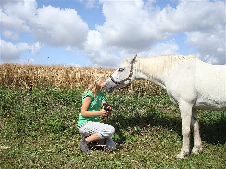 Connemara SHADOW billede 18