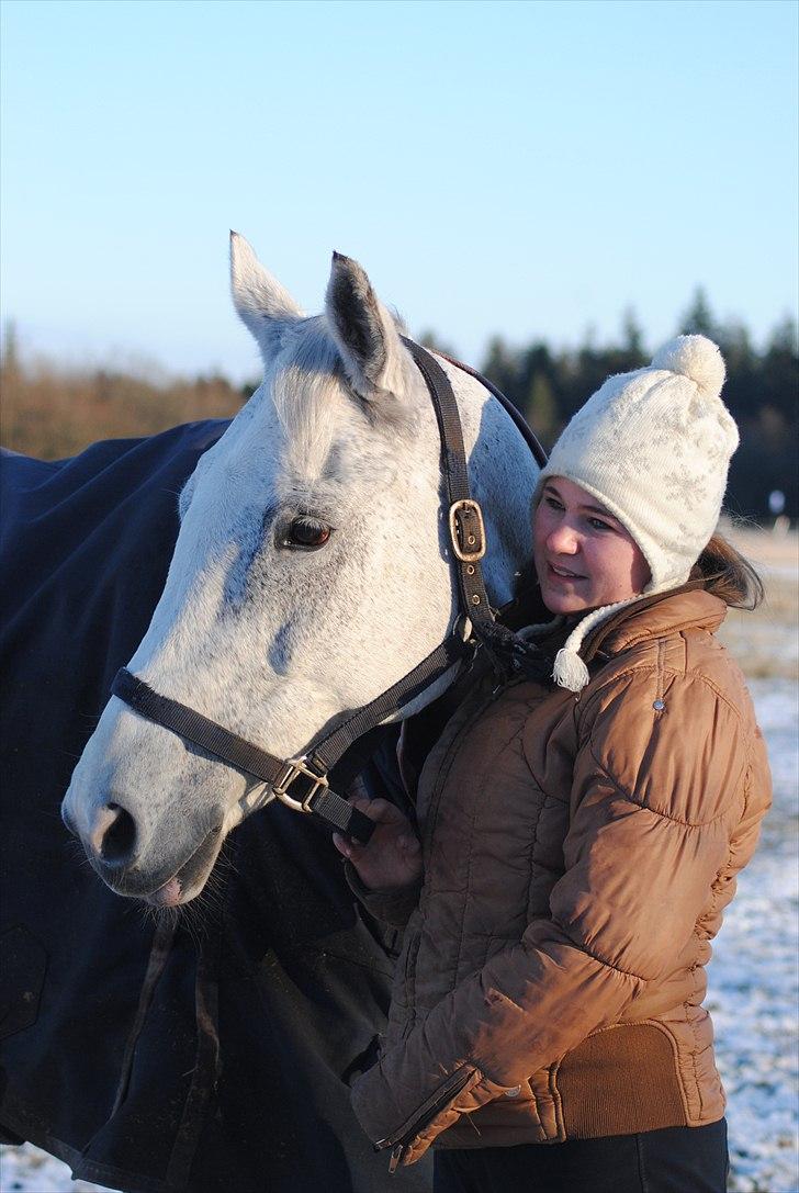 Fuldblod (XX) Silver Instinct (Olli)  - foto maiken ;) billede 14