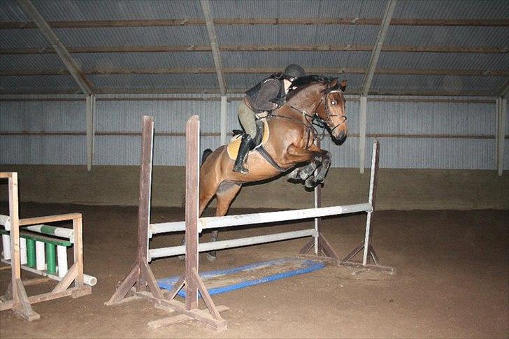 Holstener Mon Coeur (Monceur) *RIP* billede 18