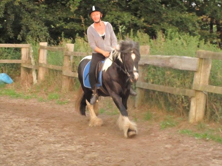 Tinker Tarquin - Mig og Tarquin billede 2