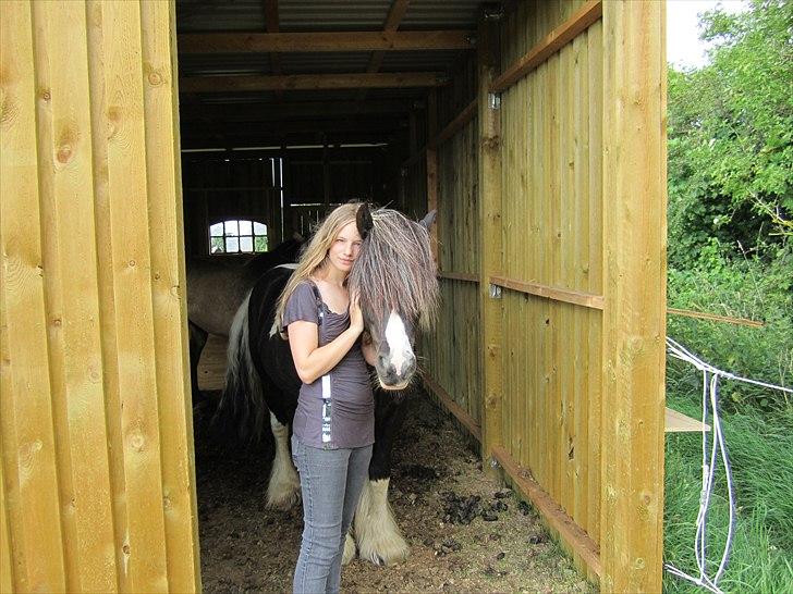 Tinker Tarquin - Min datter og Tarquin billede 3