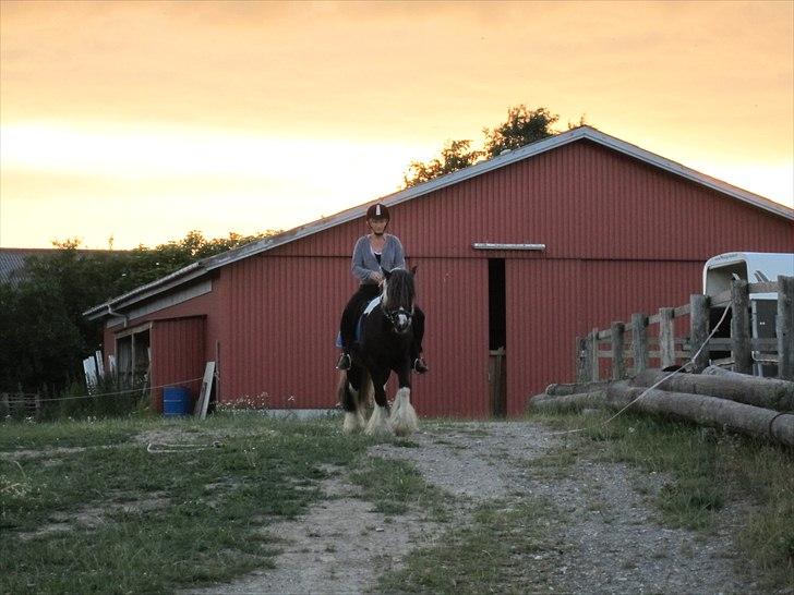 Tinker Tarquin billede 4