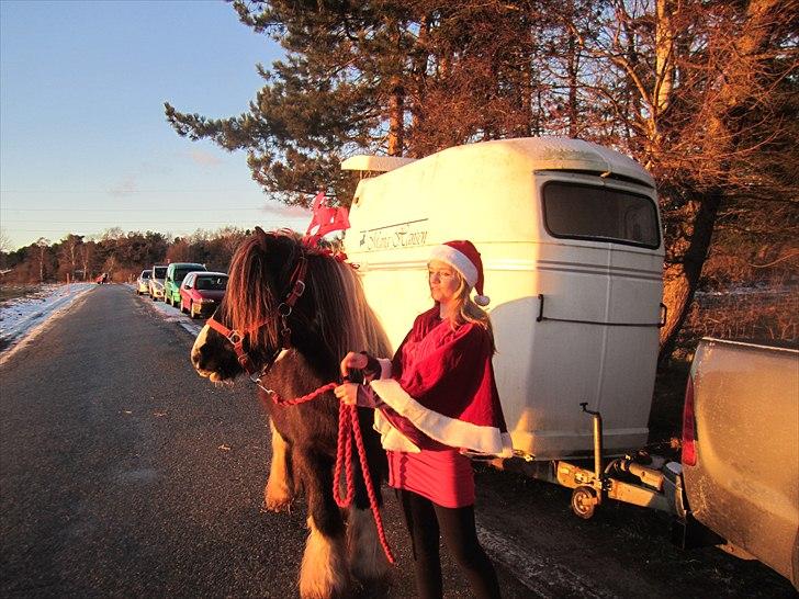 Tinker Tarquin - Min datter og Tarquin til julemodeshow på rideskolen billede 6