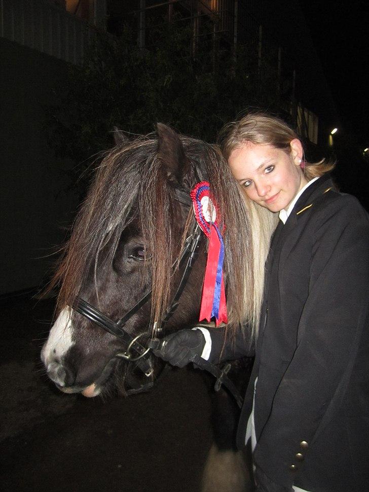 Tinker Tarquin - Tarquin og min datter til stævne billede 7