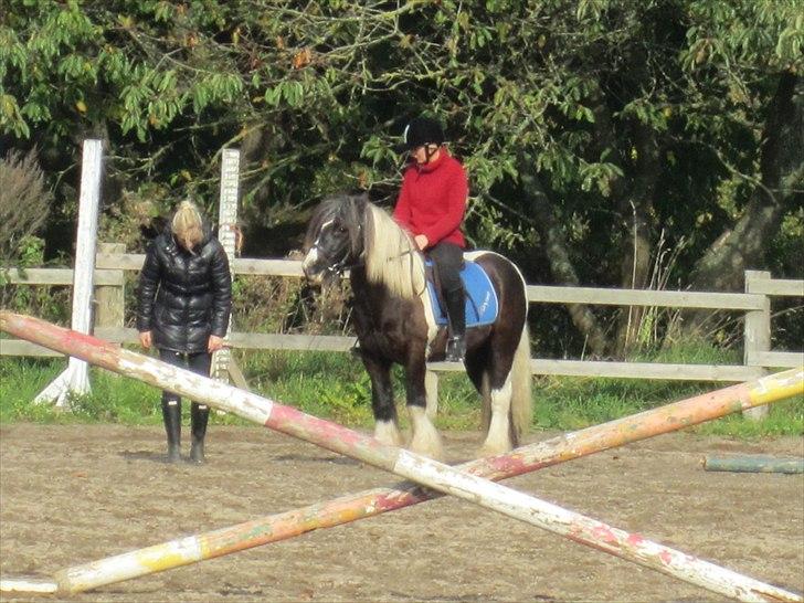 Tinker Tarquin billede 8