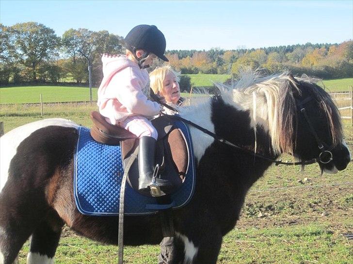 Tinker Tarquin - Tarquin med min frisørs datter på ryggen :) billede 13