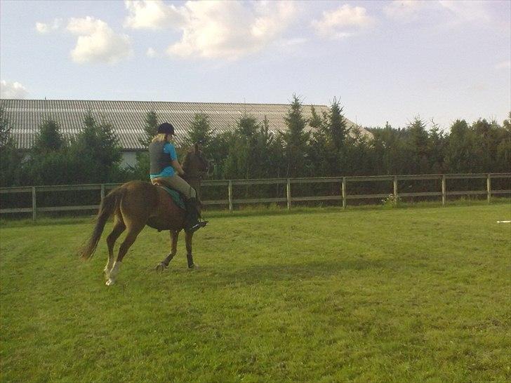 Anden særlig race Vivaldo....<3 Fortid..;/ - Forever and always! <3 billede 16