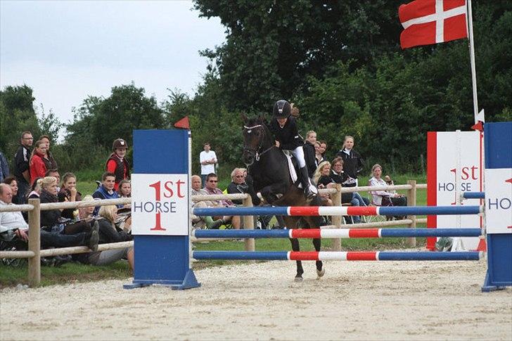 Anden særlig race Mystery Man - Fra da vi var til dm i middelfart :) Sommer 2010 billede 1