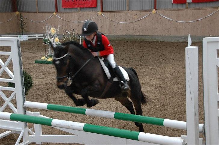 Anden særlig race Mystery Man - Ridestævne i Egtved :) Forår 2010 billede 2