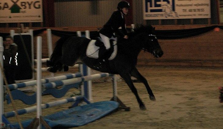 Anden særlig race Mystery Man - Stævne på Slangerup-Lynge :) Vinter 2010 billede 5