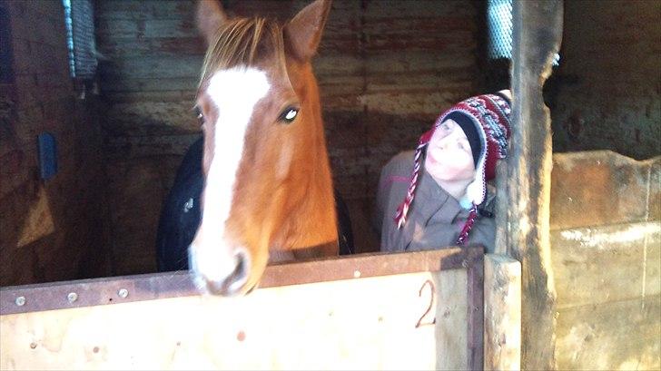 DSP Squash Es billede 1