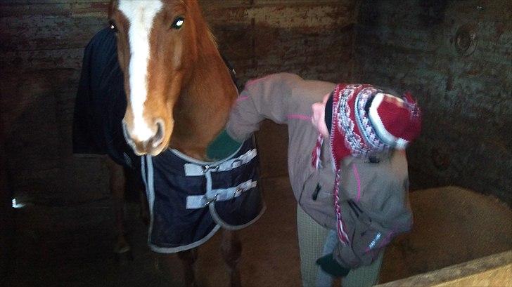 DSP Squash Es billede 2