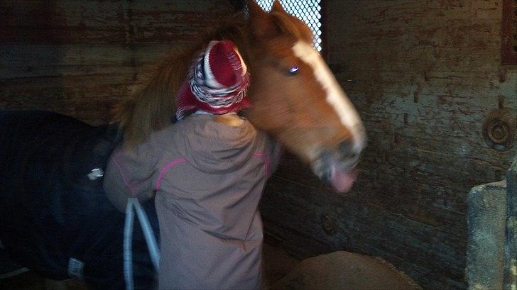 DSP Squash Es billede 3