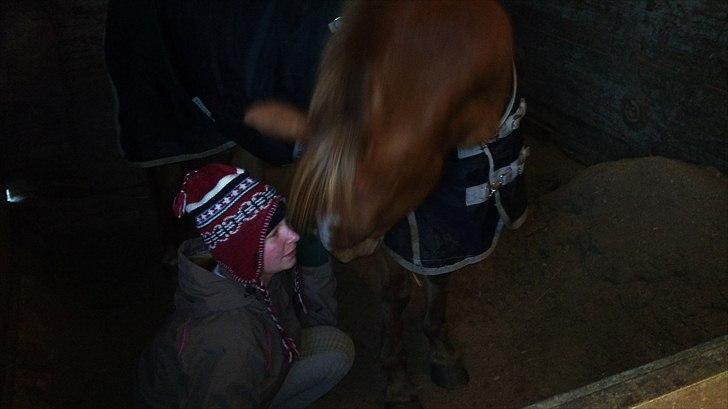 DSP Squash Es billede 5