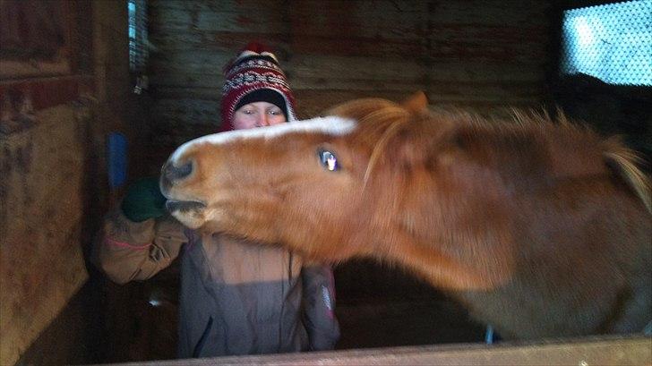 DSP Squash Es billede 6